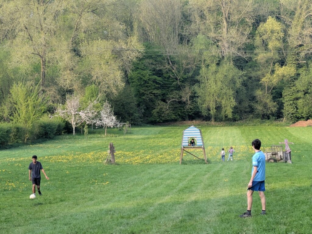 Grange Ouverte dans la prairie